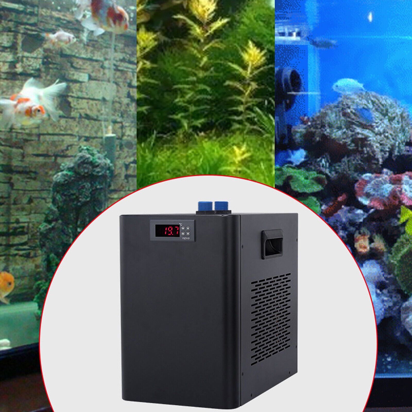 42Gal Aquarium Chiller 160L Fish Shrimp Tank Water Cooler Aquaculture Air-cooled