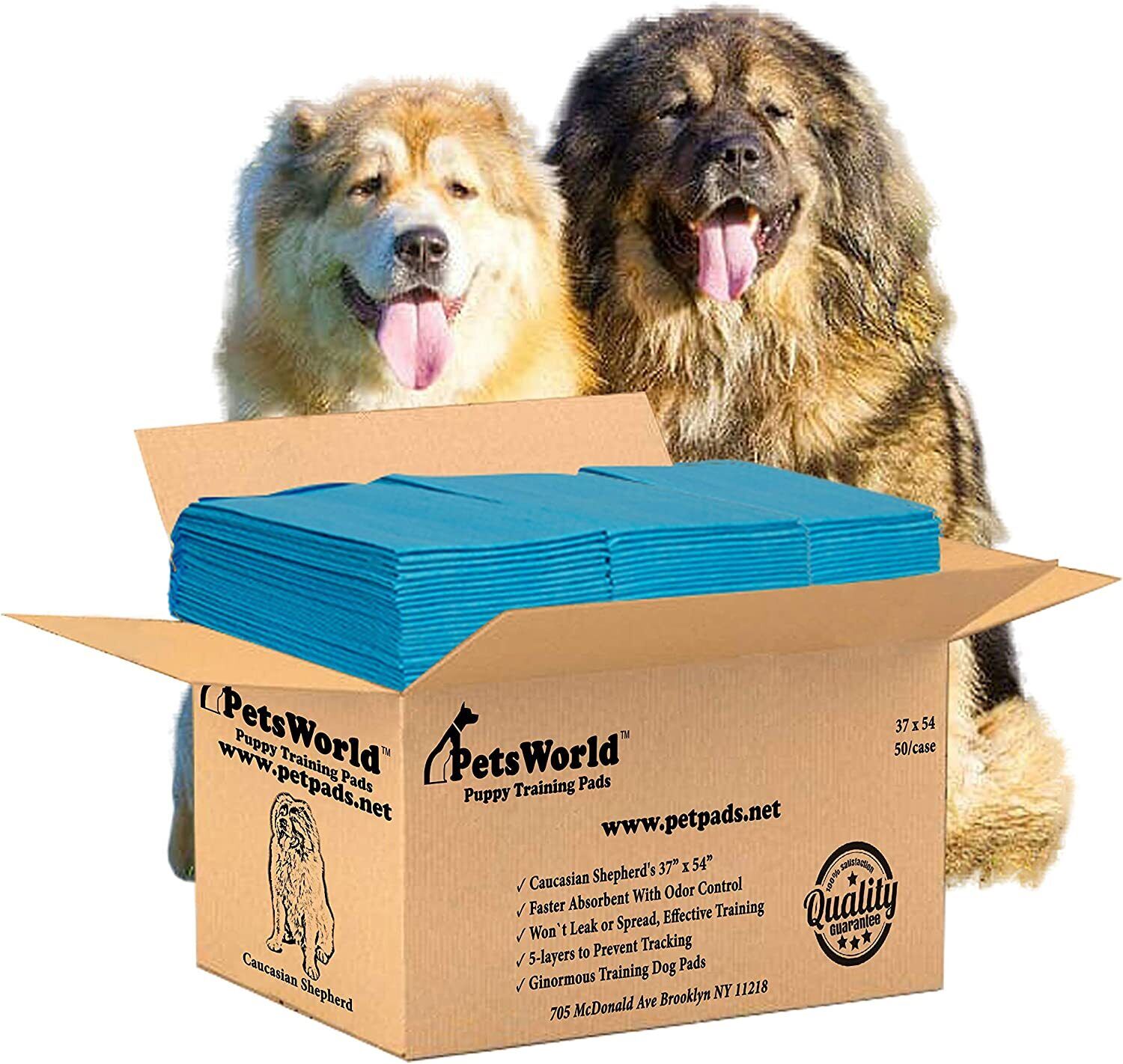 PETSWORLD Enormous Dog Training/Potty Pads (37x54 inch) Optional Adhesive Tape