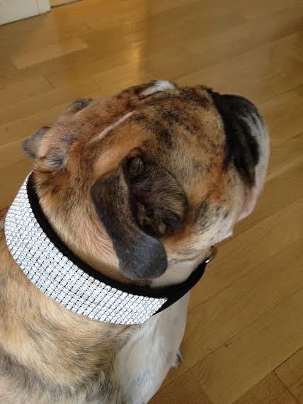 3 Of The Large 9 row Black Swarovski Crystal Rhinestone Dog Collars 16” Neck
