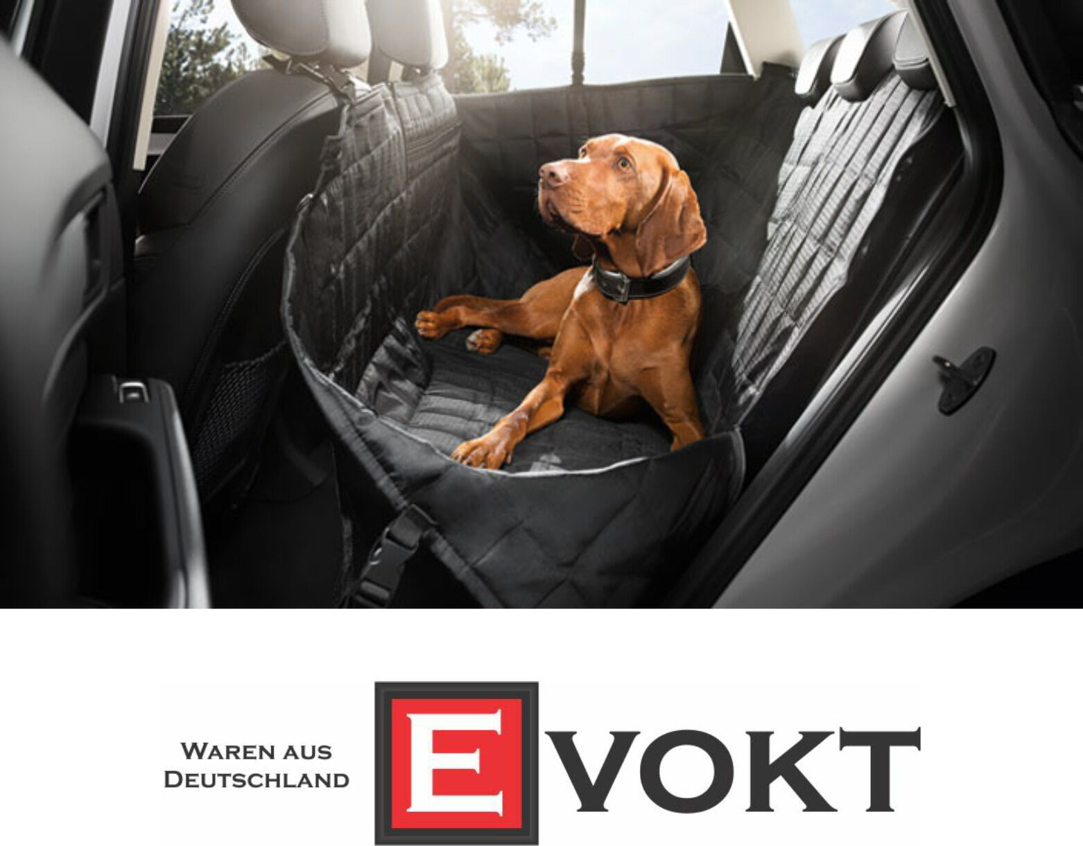 Audi Genuine dog protection cover back seat dog cover dog protection 8X0061680A