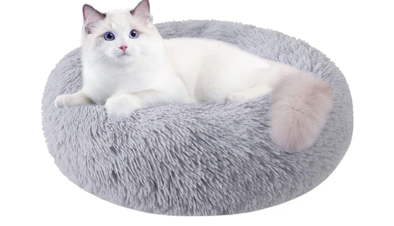 Cat Beds for Indoor Cats, 20 Inch Dog Bed for Small Melium Large Dogs, Washable-