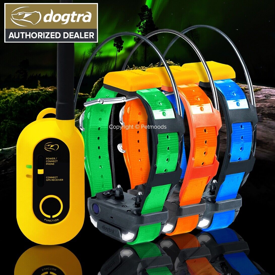 Dogtra Pathfinder2 GPS Track and Train 9-Mile 3 Dog Collars E-Fence & LED Light