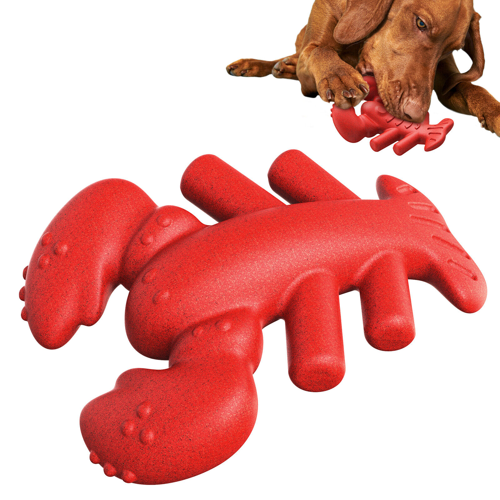 Large Dogs Supplies Pet Chew Toothbrush Cleaning Toy Red Lobster Shape 60pcs/Lot