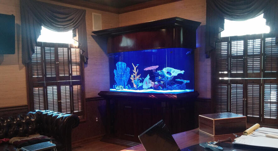 RARE AQUARIUM Warranty included 200 gallon GLASS bow front aquarium fish tank