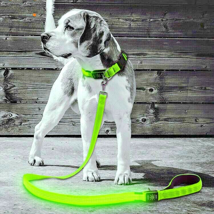 Safety Pet Dog LED Collar Night Flashing Light Up Adjustable Waterproof 