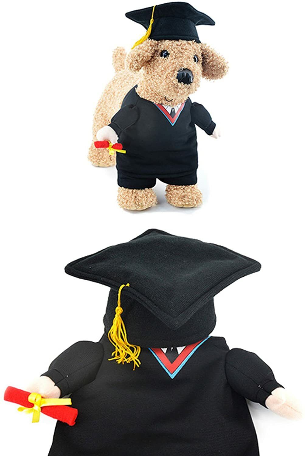 Alfie Pet - Kade The Graduate for Party Halloween Special Events Costume - Large
