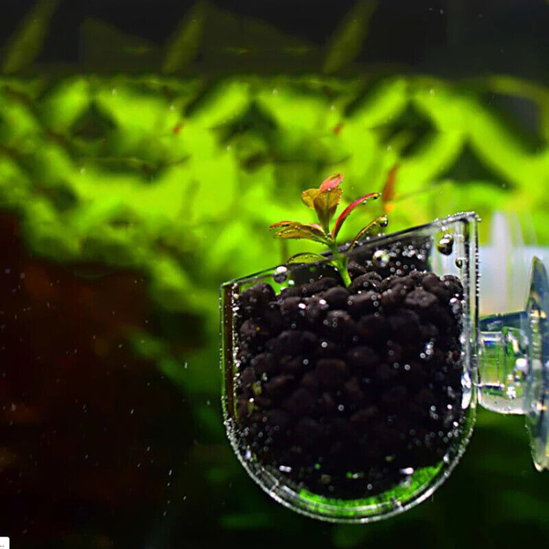 Aquarium Decor Hanging Fish Tank Mini Glass Pot Water Potted Planting Cup J-