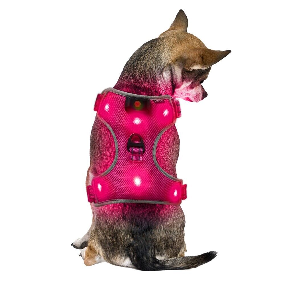 New Small Pink LED Dog Harness Light Up Adjustable Flashing Safety Belt Collar