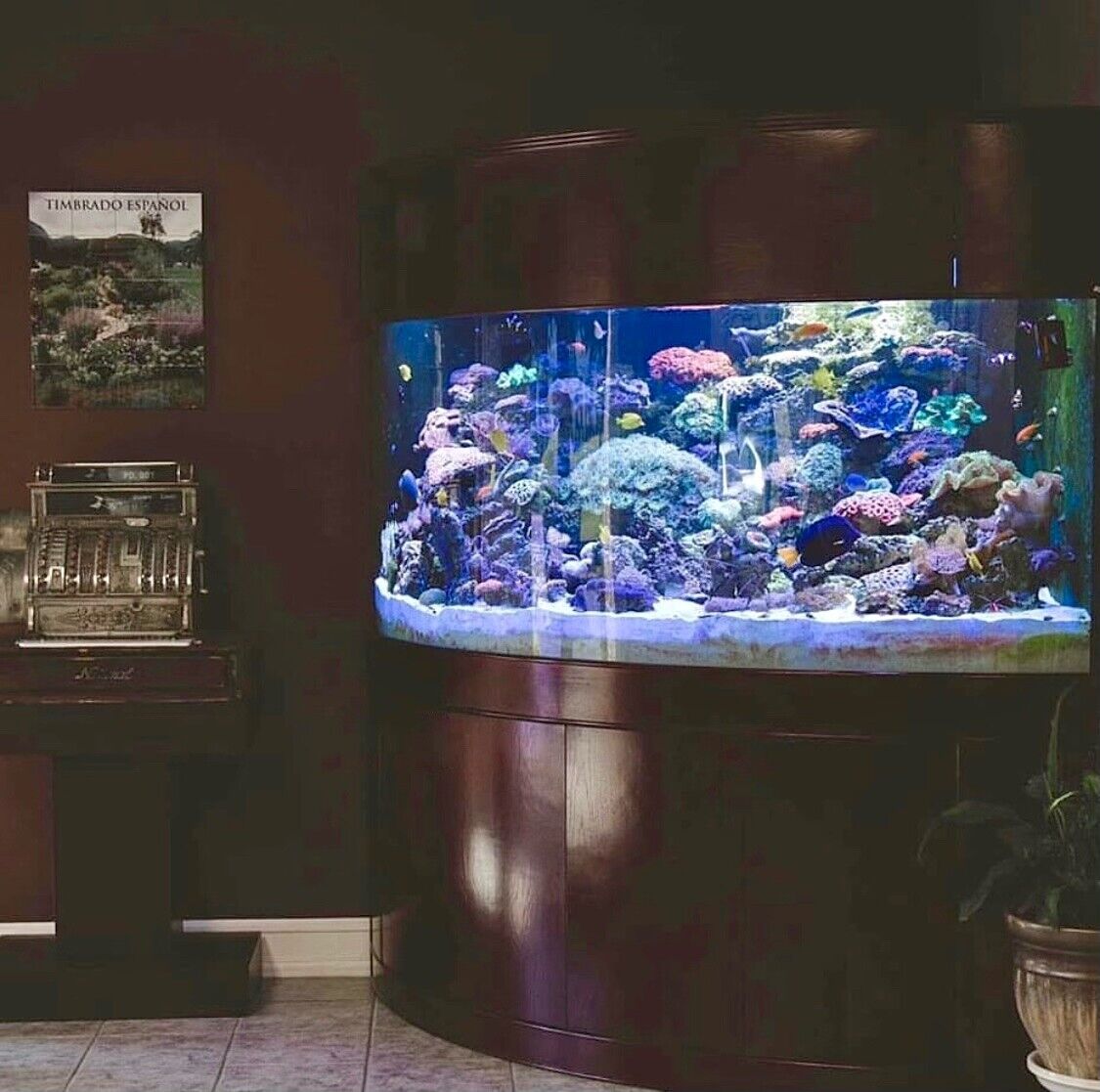400 GAL MONSTER AQUARIUM FOR SALE GLASS corner bow aquarium tank wood stand