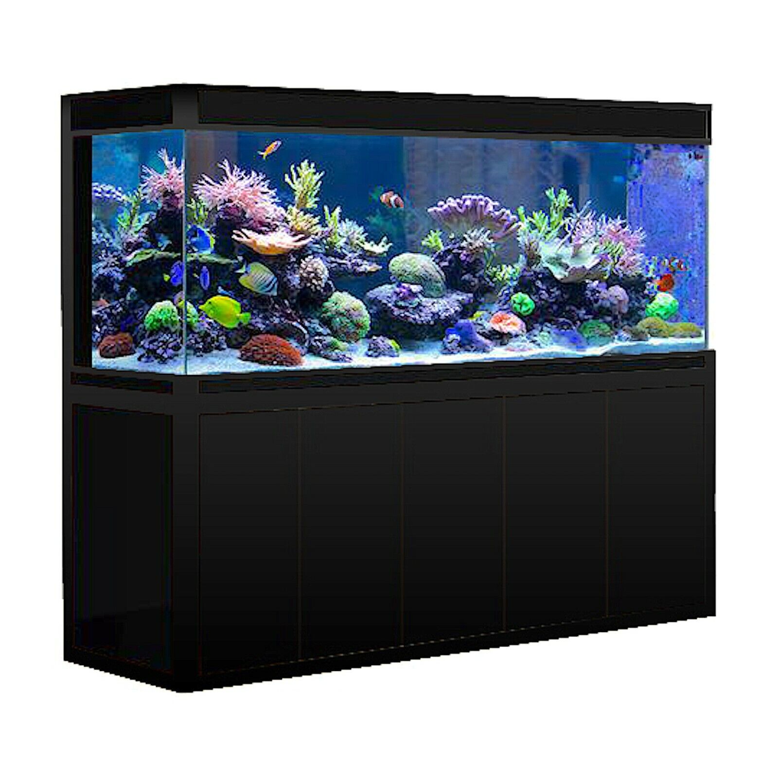 400 Gallon Fish Tank Tempered & Ultra-Transparent Glass Complete Aquarium Setup