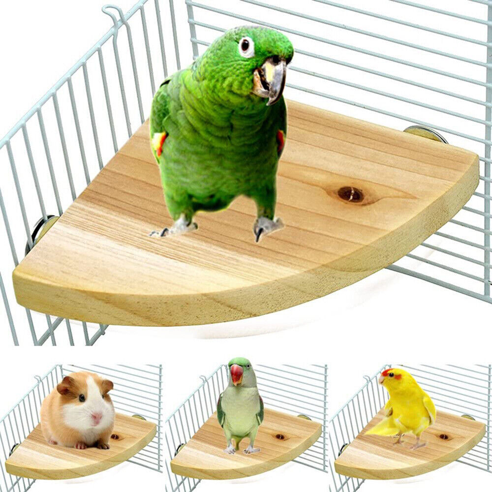 Pet Bird Parrot Wood Platform Stand Rack Toy Hamster Branch Perches For Cage