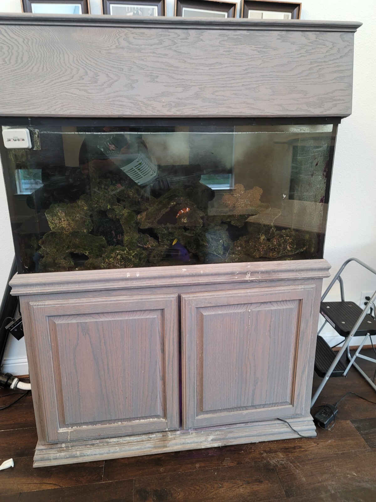 Aquarium 75'80'100 gallon and Stand complete Aquarium 75'80'100 gallon and Stand complete