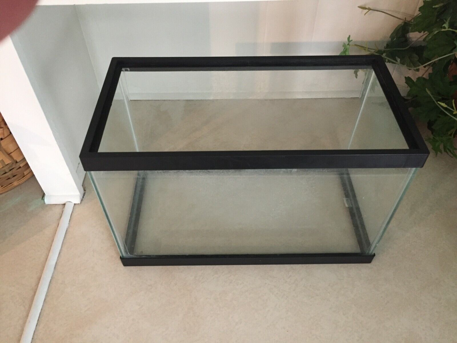 10 Gallon  Aquarium/terrarium Clear Glass, plus filter, used, good condition