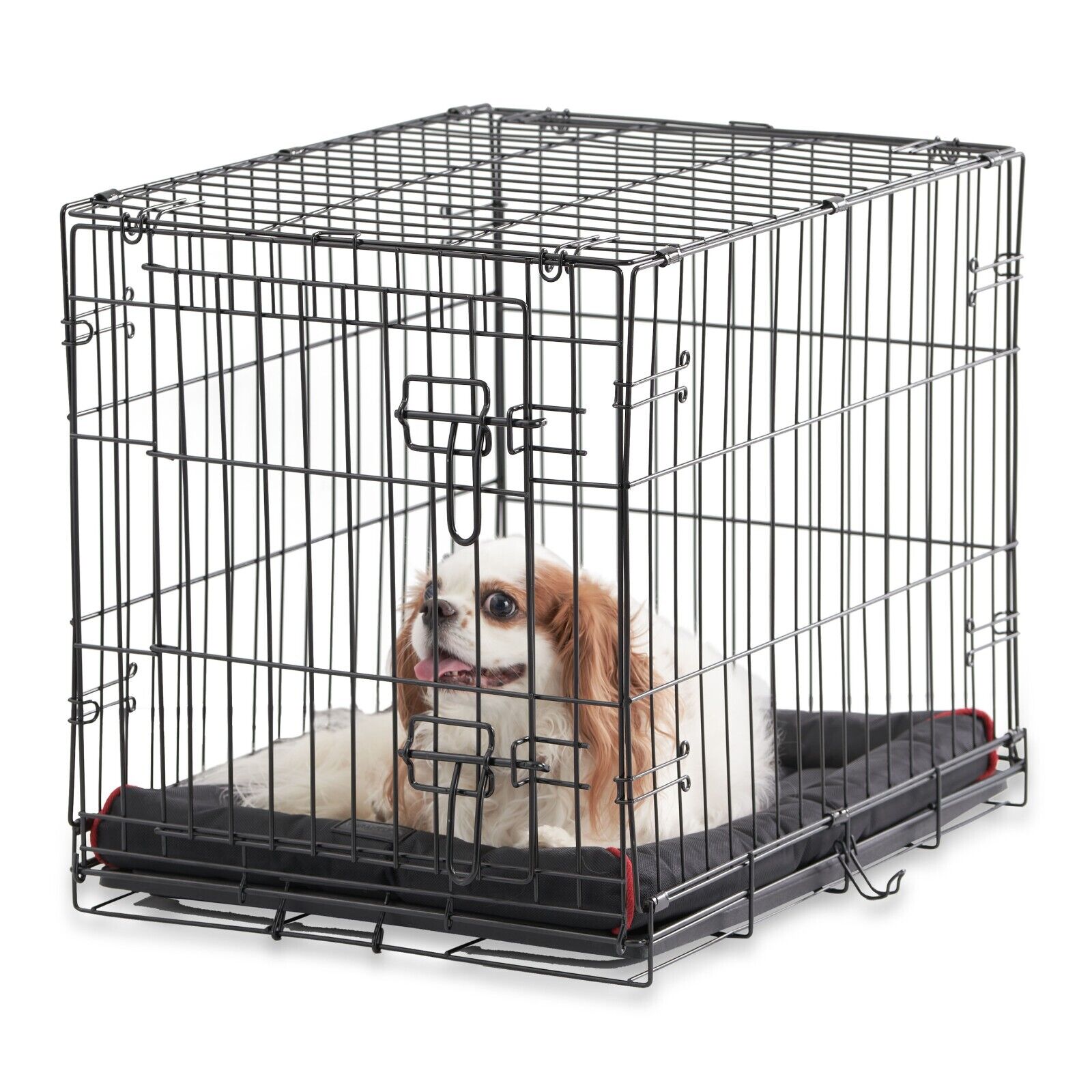 Single-Door Folding Dog Crate with Divider, 24