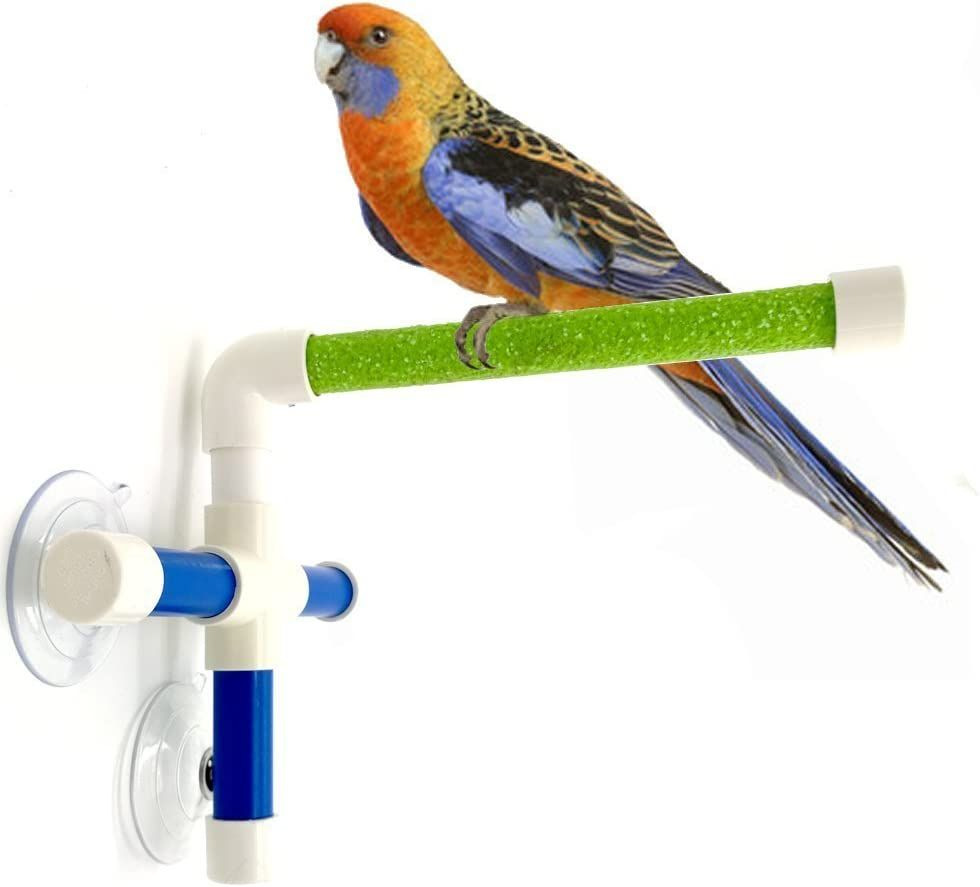 Hypeety Portable Suction Cup Bird Window and Shower Perch Toy for Bird... 