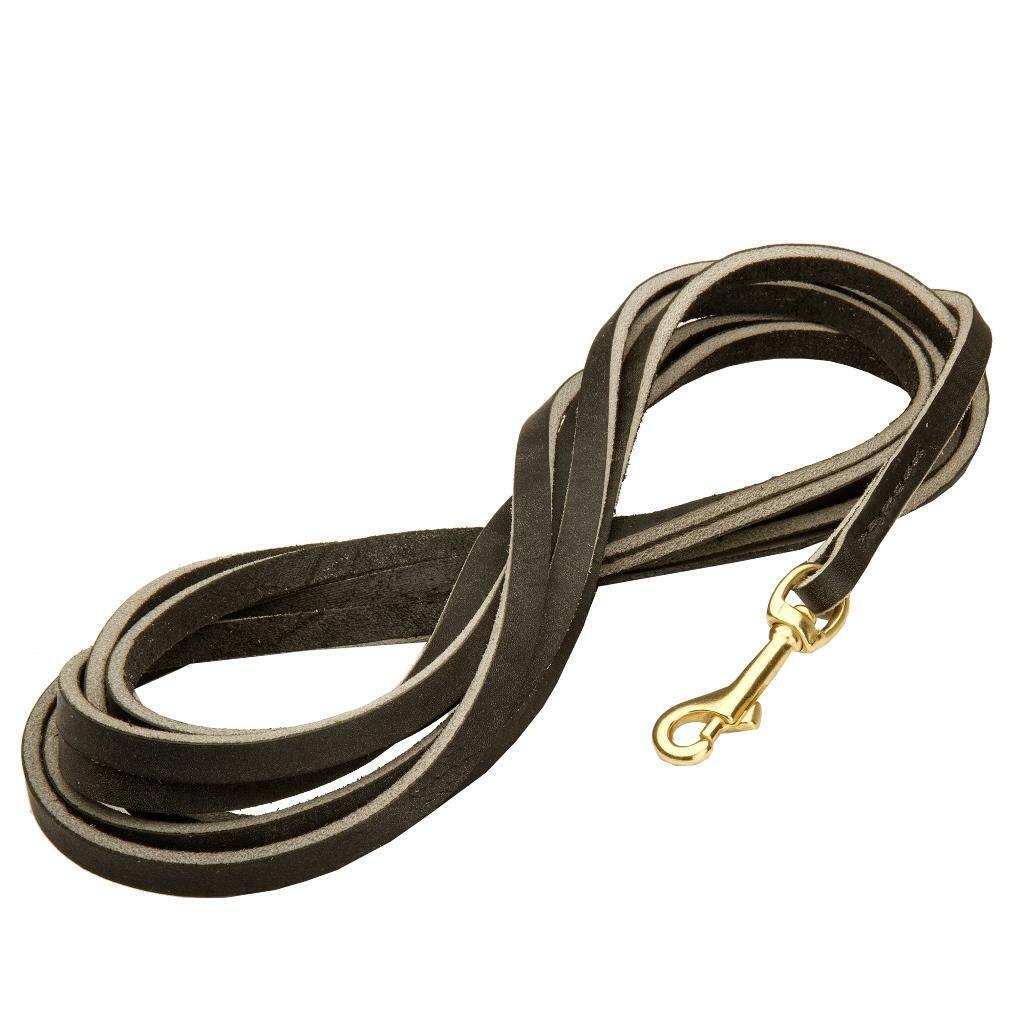 Long Leather Dog Lead 4m 6m 8m 10m Swivel Hook for Running Training Large Dogs