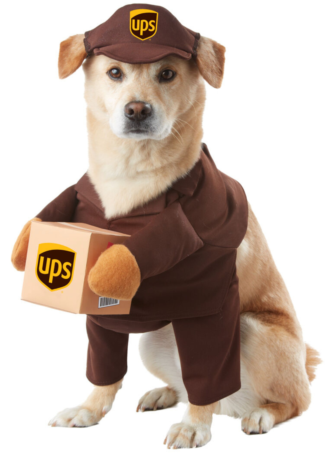 UPS Parcel Delivery Dog Costumes Pet Costume