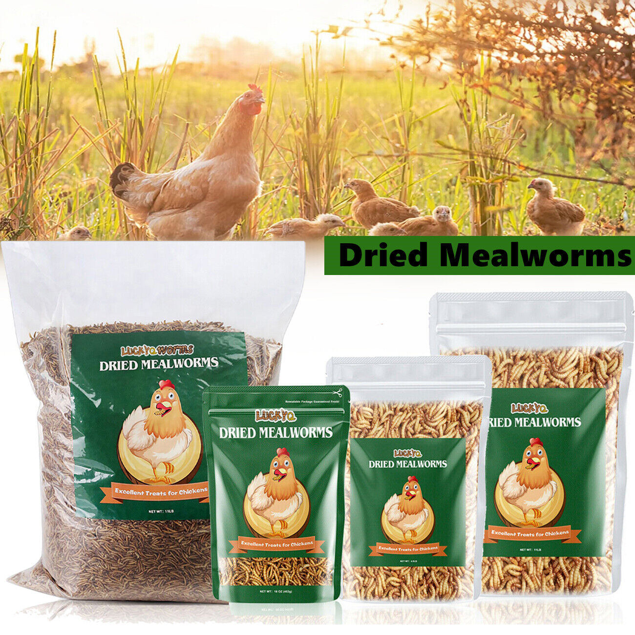 Lot Bulk Dried Mealworms for Wild Birds Food Blue Bird Chickens Hen Treats Food