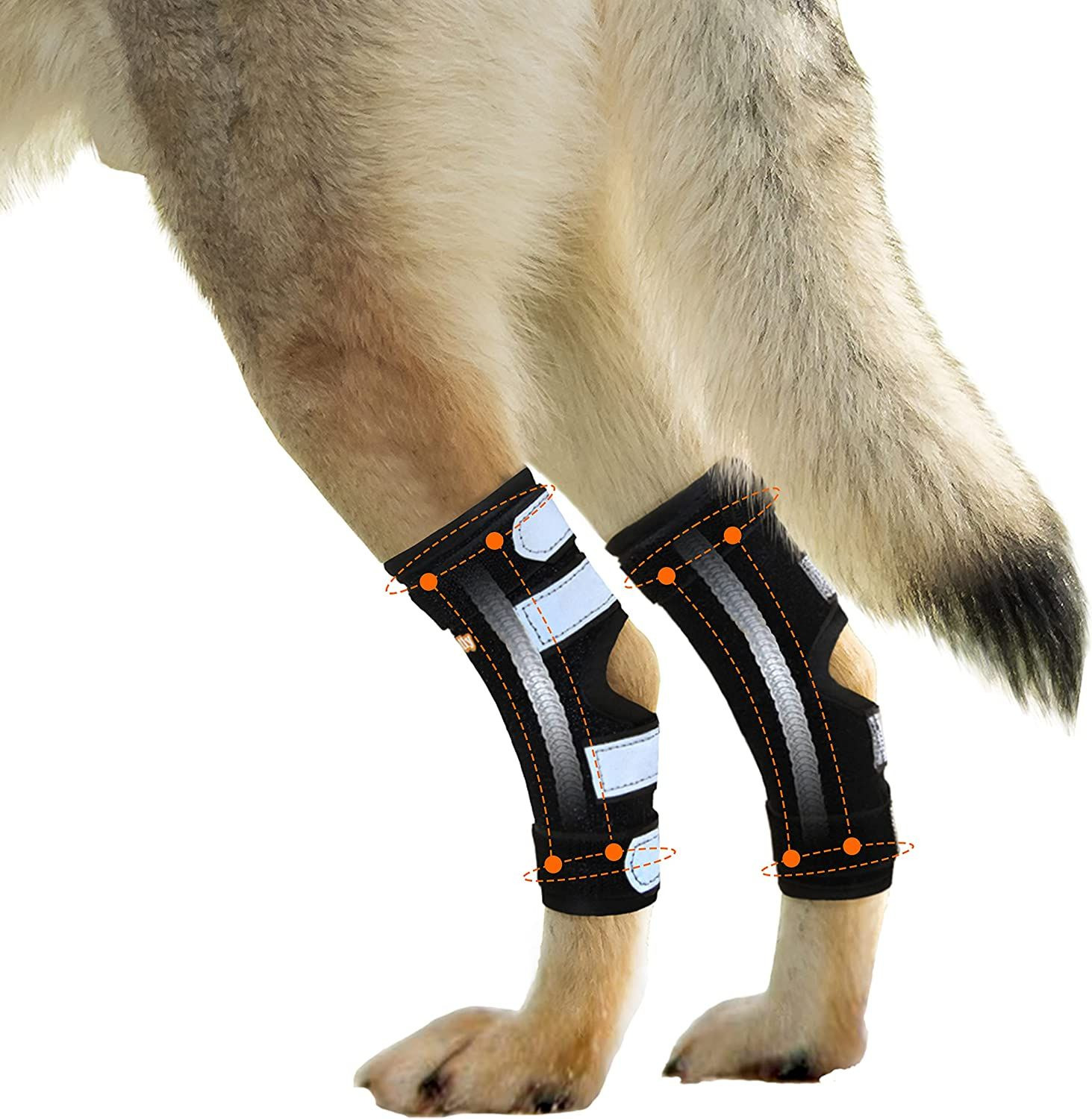 NeoAlly® - Rear Leg Hock Brace with Metal Spring Strips, Dog Large (1 Pair) 