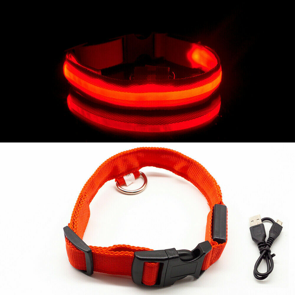 USB Rechargeable LED Collar Light up Dog Collar Night Safety Flashing Adjustable