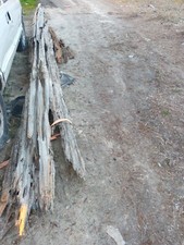 Very large decorative pecky Cypress driftwood picture