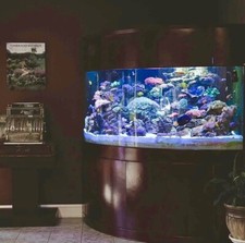 RARE Glass 440 Gallon Corner 1/4 Cylinder ReefReady Aquarium Real Wood Furniture picture