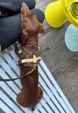 Louis Vuitton Monogram Leather Adjustable Pet Collar S Bow With Leash Set picture