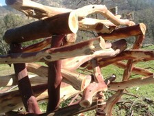 HUGE DOUBLE MACAW CACATOO Sandblasted Manzanita Parrot Tree Stand bird perch GYM picture