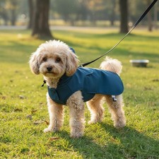 Clear Hood Dog Raincoat Portable Waterproof Dog Slicker Adjustable Straps picture
