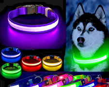 LED Dog Collar Adjustable Glow Light Safety Flashing Pet Neck Strap Waterproof picture