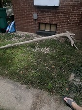 Landscape Driftwood picture