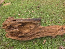unique driftwood picture