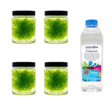 Refugium Starter Kit - 4 Cups Clean Chaeto + 32oz Pods - 5-Species - picture