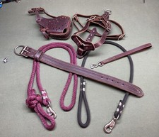 HEAVY DUTY COLLAR HARNESS MUZZLE ETC LEATHER DOG GEAR BUNDLE picture