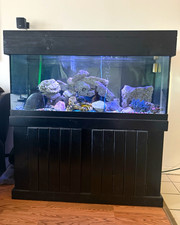 100 gal Glass Marine Aquarium Fish Tank w/ Wood Stand, Hood, Rock Decor picture
