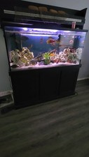 72x25x24 156 Gallon Aquarium with FISH EVERYTHINg Included With Filters F4 / F6 picture