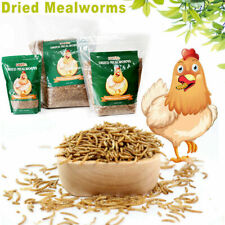 Bulk Dried Mealworms for Wild Birds Food Blue Bird Chickens Hen Treats Non-GMO picture