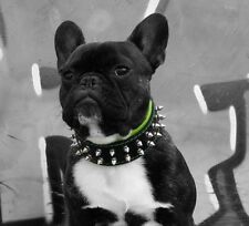 BESTIA hand made dog collar, medium or small, spiked studded, french bulldog picture