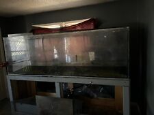 fish tank + air pump picture