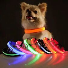 LED Pet Dog Collar USB Charging Safety Night Light Flashing Necklace Fluorescent picture