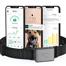 Switch GPS + Health + Fitness Smart Dog Collar, 24/7 Dog GPS Tracker Plus Dog... picture