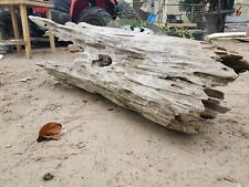 Natural Large Driftwood for Aquarium Decor, Assorted Branches Decorations picture