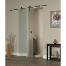 New Visions Ice Glass Barn Door picture