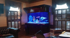 RARE AQUARIUM Warranty included 170 gallon GLASS bow front aquarium fish tank picture