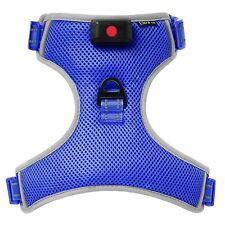 New X Large Blue LED Dog Harness Light Up Adjustable Flashing Safety Belt Collar picture