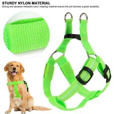 USB RECHARGEABLE CHEST HARNESS LED Pet Dog Glow Flashing Light-up Night Safety picture