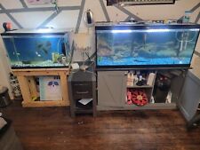 75 And 30 Gallon Fish Tank with Stand, Heater, Filter, and More picture