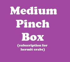MEDIUM Pinch Box - Monthly Hermit Crab Food Box picture