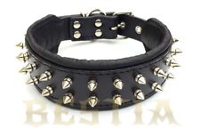 BESTIA hand made dog collar, medium or small, spiked studded, french bulldog picture