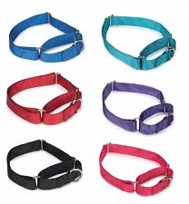 Bulk Lot Martingale Dog Collars at Wholesale Prices Nylon Collar Multi Packs picture